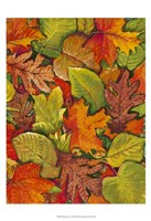 Fallen Leaves I Framed Print