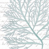 Aqua Marine VI Fine Art Print