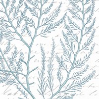 Aqua Marine VIII Fine Art Print