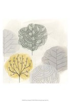 Forest Treasure IV Fine Art Print