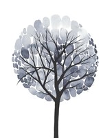 Midnight Elm I Fine Art Print