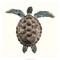 Mosaic Turtle I Fine Art Print
