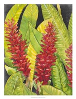 Red Tropical Flowers I Framed Print