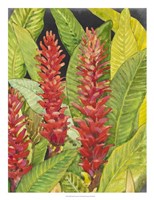 Red Tropical Flowers II Fine Art Print