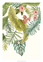Soft Tropics II Fine Art Print