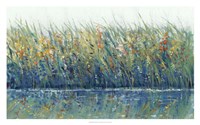 Wildflower Reflection I Framed Print