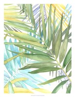 Tropical Pattern II Framed Print