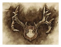 Rustic Antler Mount I Framed Print