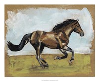 Equestrian Studies I Fine Art Print