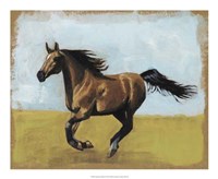 Equestrian Studies II Fine Art Print