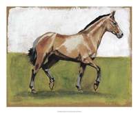 Equestrian Studies III Fine Art Print