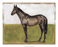 Equestrian Studies IV Fine Art Print