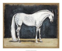 Equestrian Studies V Fine Art Print