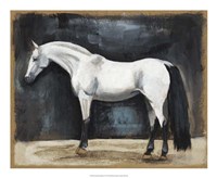 Equestrian Studies VI Fine Art Print