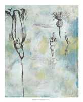 Botanical Abstract II Fine Art Print