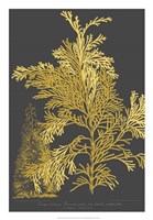 Trees & Leaves I Fine Art Print