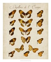 Papillons de L'Europe I Fine Art Print