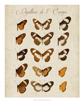 Papillons de L'Europe IV Fine Art Print