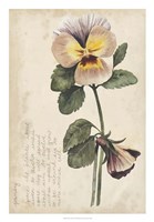 Garden Studies I Fine Art Print