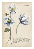 Garden Studies III Fine Art Print