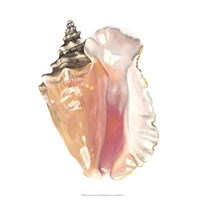 Seashore Souvenirs I Fine Art Print