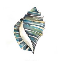 Aquarelle Shells I Fine Art Print