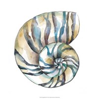 Aquarelle Shells II Fine Art Print