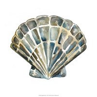 Aquarelle Shells IV Fine Art Print