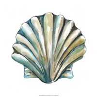 Aquarelle Shells VI Fine Art Print