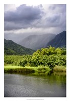 Coastal Marsh Triptych III Framed Print