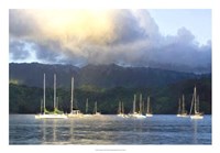 Anchored Fine Art Print