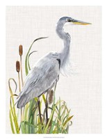 Waterbirds & Cattails I Fine Art Print