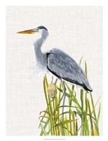 Waterbirds & Cattails II Fine Art Print