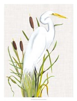 Waterbirds & Cattails III Fine Art Print