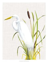 Waterbirds & Cattails IV Fine Art Print