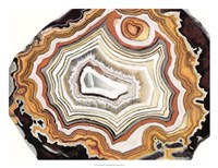 Agate Studies IV Fine Art Print