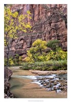 Zion Autumn II Fine Art Print