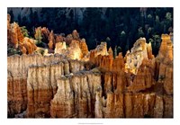 Sun Bath I Framed Print