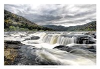 Who Flushed Fine Art Print