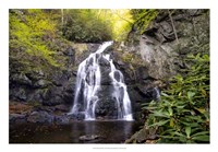 Spruce Flat Falls Fine Art Print