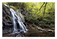 Spruce Flat Falls at Morning Fine Art Print