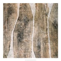 Live Edge III Fine Art Print