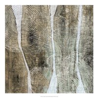 Live Edge IV Fine Art Print