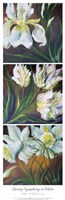 Spring Symphony In White Fine Art Print
