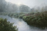 Morning Mist Fine Art Print