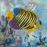 Regal Angel Fish Fine Art Print