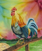 Rooster Fine Art Print