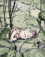 Sleeping on Lily Pads Fine Art Print