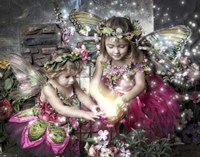 Magical Light Fine Art Print