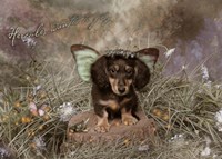 Fairy Dog Fine Art Print